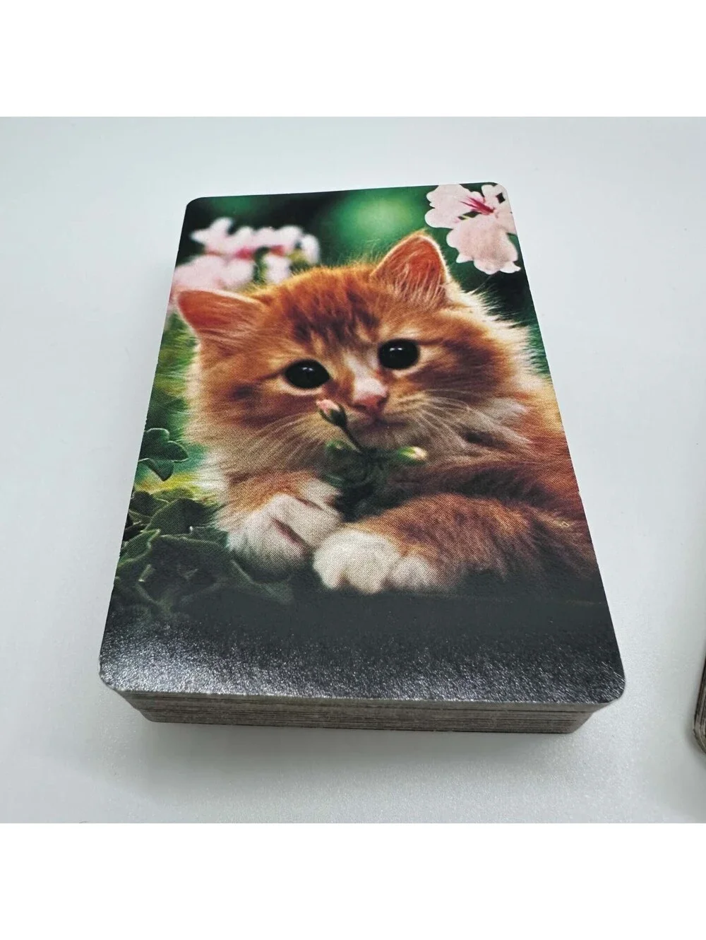Hallmark Kitten Playing Cards 2 Complete Decks Cat Design Clear Case EUC
